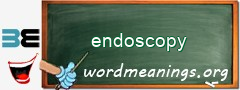 WordMeaning blackboard for endoscopy